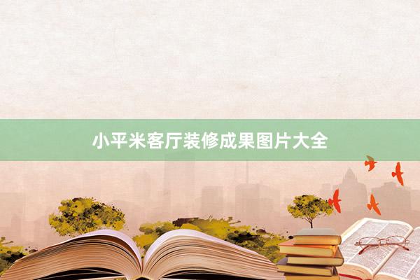 小平米客厅装修成果图片大全