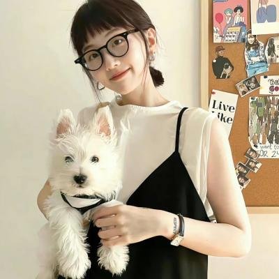 漫长的告别 海报