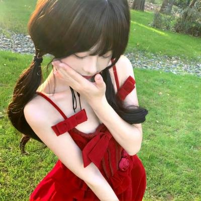完美的独裁国家 海报