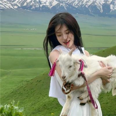 龙门镖局1.5版 海报